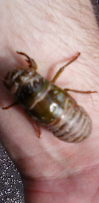 [Image: 20190810-160835.jpg]