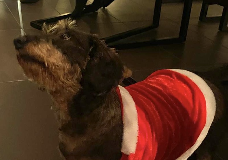 [Image: 235eee45-76f4-4f25-a737-f48c5bc96434.jpg]