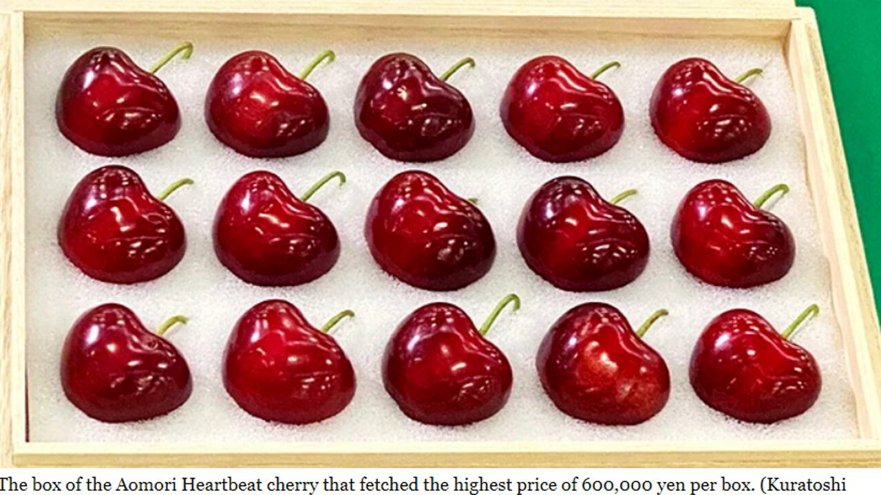 Giappone: ciliegie vendute al prezzo record di 280 euro l’una