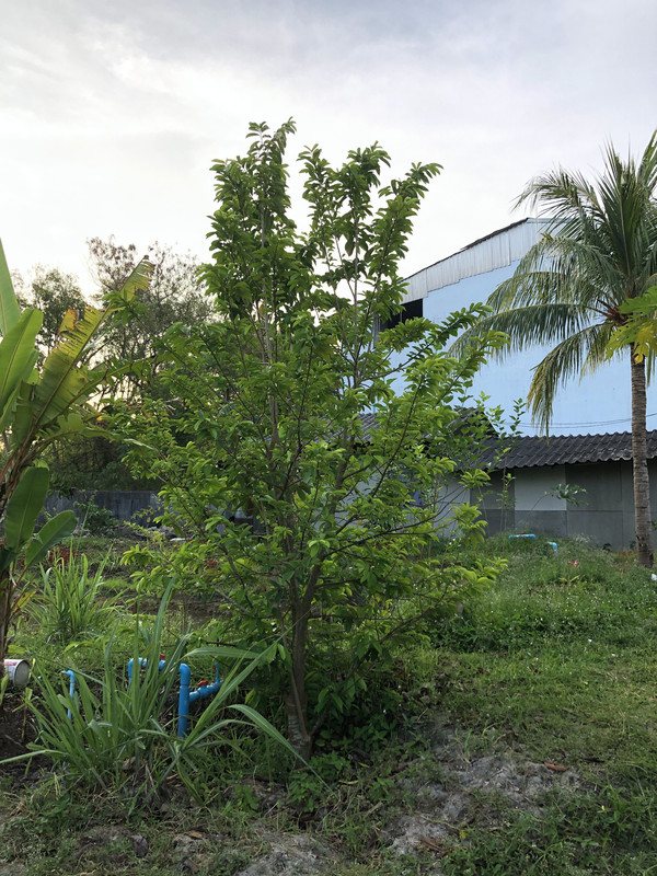 57257331178__F9B305A8-E326-4616-90C5-46EF25A87C56