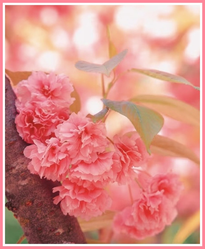 E8875A93-8423-4883-99D9-8B75004ABAC4