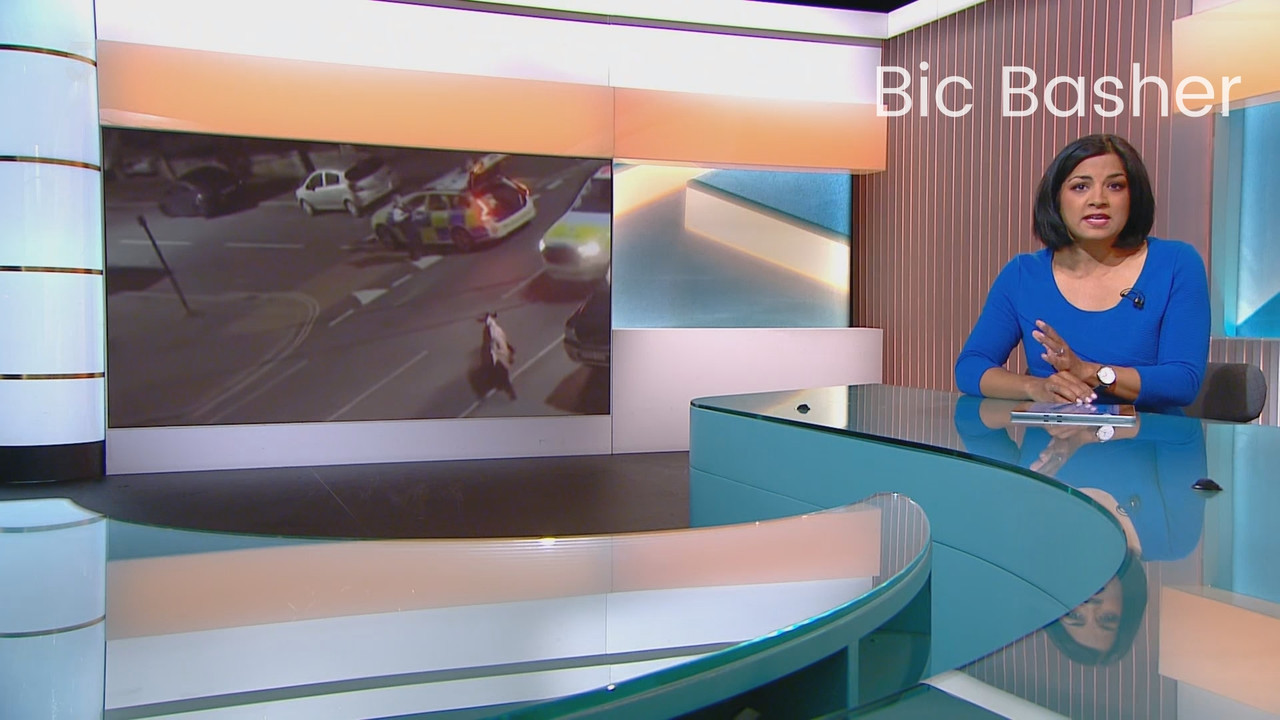 5 News at 5_20240617_17001800.ts_snapshot_00.09.45.579