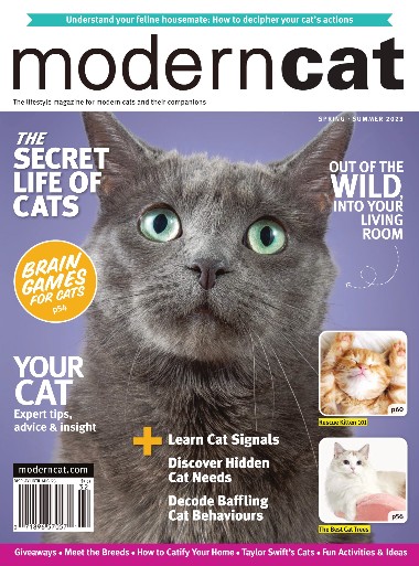 Modern Cat - Spring / Summer 2023