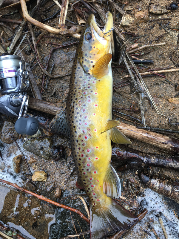 2143F155-2759-4B03-B7FA-CA43270FDCF5