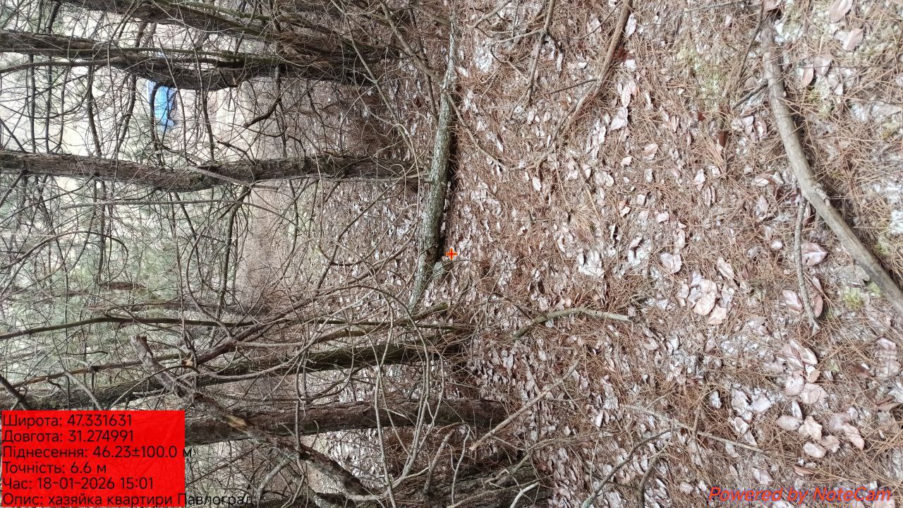 photo 23 2026 01 19 12 47 06