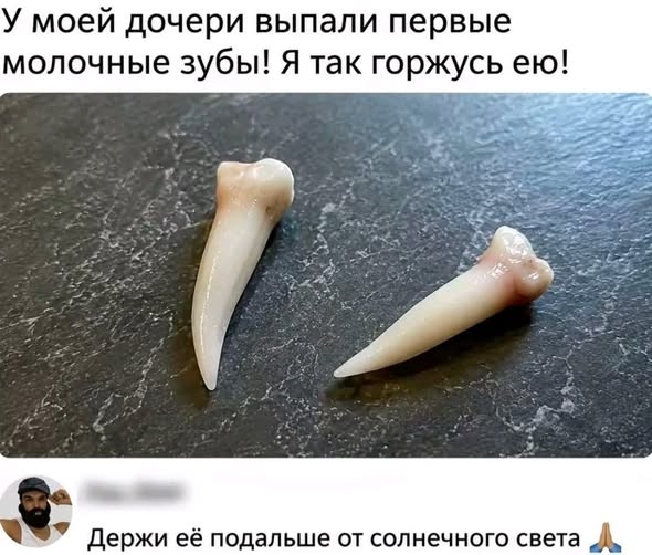 [Изображение: photo-2026-08-04-10-01-29.jpg]