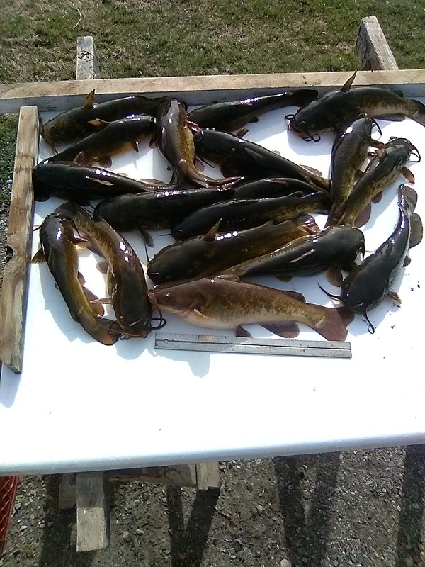 20230411_093026April 10