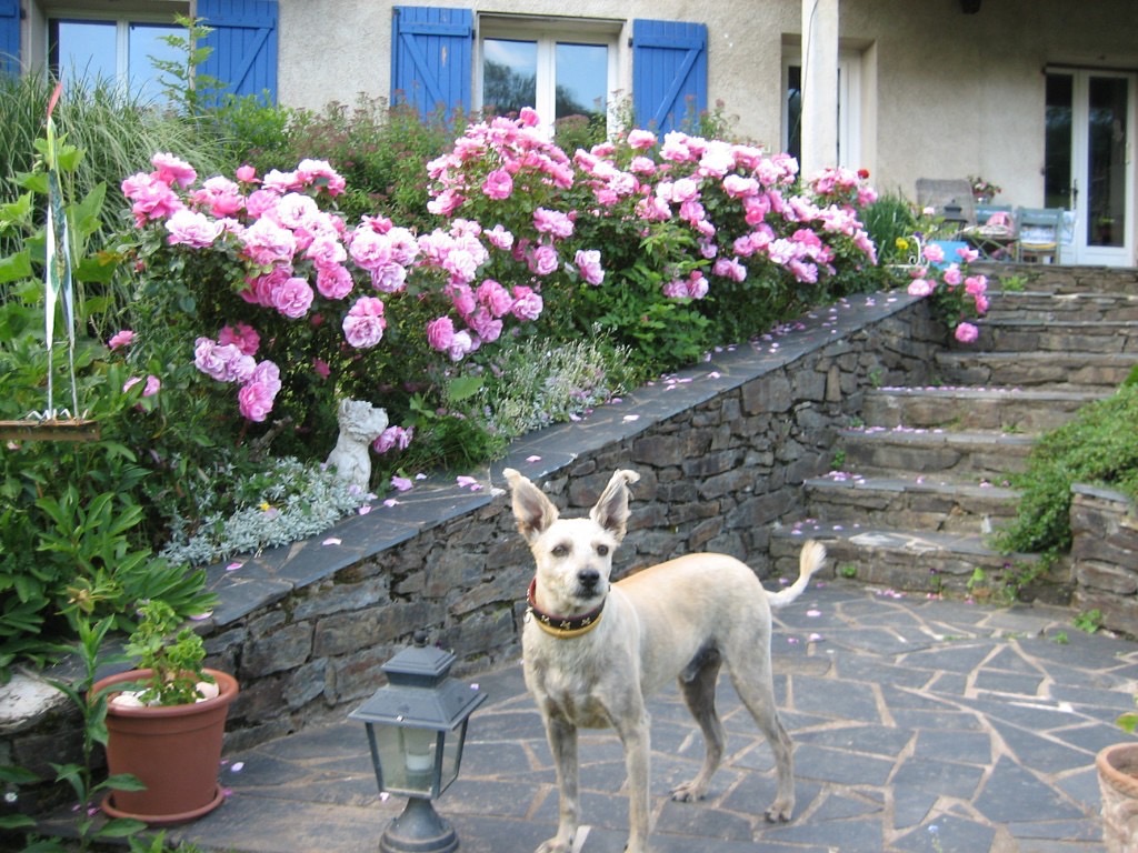 1B0982A5-9061-48ED-8731-6468B78B05F6