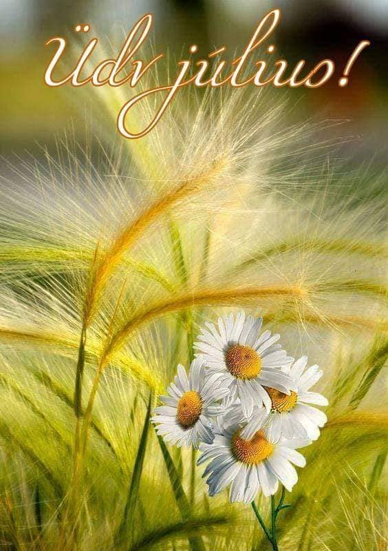 347592508_10224567479039164_6849982743654606079_n