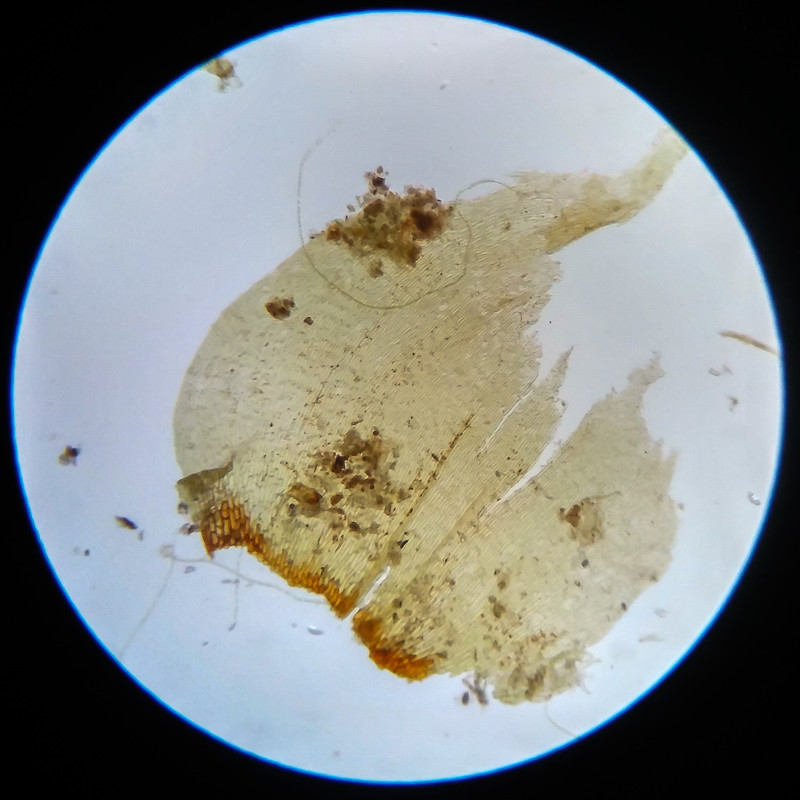 IMG 20250617 105438 HDR