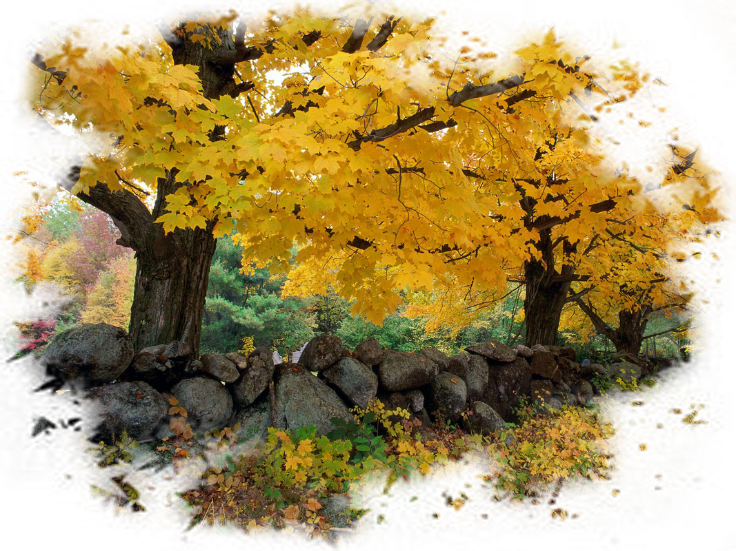 Siempre Libre & Glitters y Gifs Animados Nº369 - Página 50 Autumn-Backgrounds-1-51