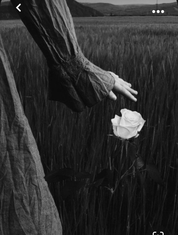 Screenshot_20231024_202924_Pinterest