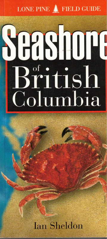 Seashore of British