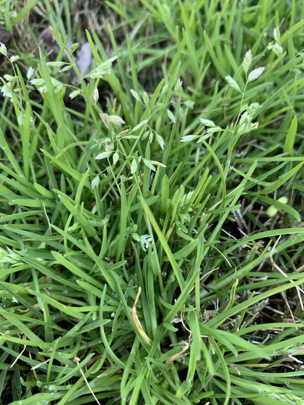 56556153-5F93-4837-8F49-B22FD6A29618