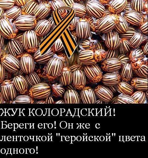 Через використання забороненої символіки в Очакові сталася сутичка з поліцією - Цензор.НЕТ 1364