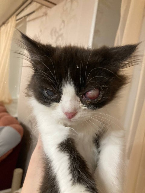 68638950-CA1D-469E-BF50-1674A8F4C899