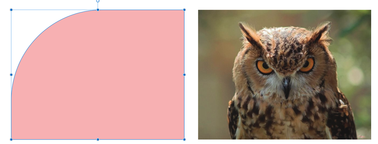 Capture d’écran 2022-02-17 à 16.29.58