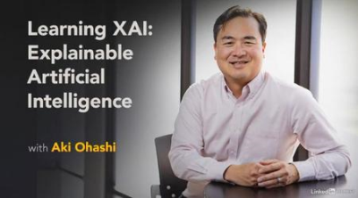 Learning XAI: Explainable Artificial Intelligence