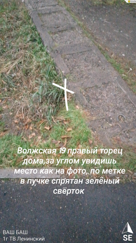 add_text_20251008_101944
