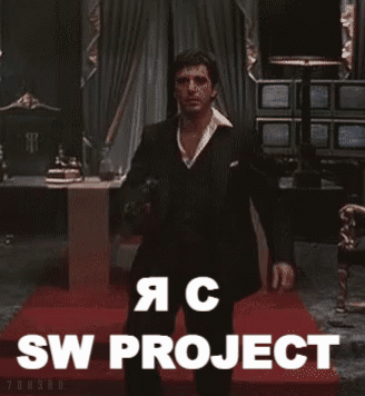 sw-project.gif
