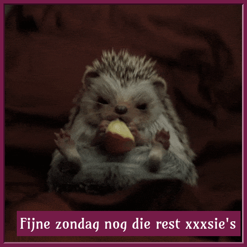 step0003.gif