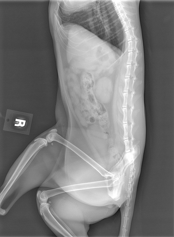 012E2DDE-56F0-4215-BE0B-734D58D77A81