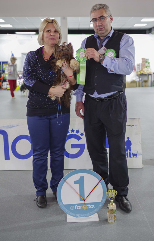 IMGP1718 - копия - копия