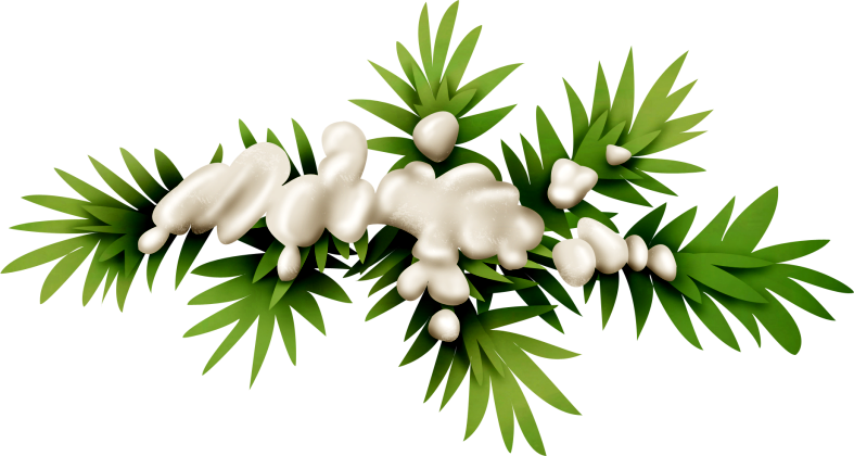 Christmasswishoffairydnleaves