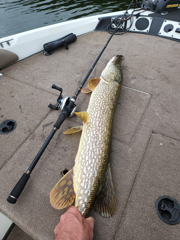 IMG_20220822_122841_01