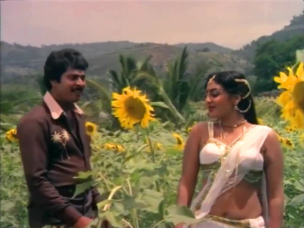 vlcsnap-2023-02-11-09h37m05s539