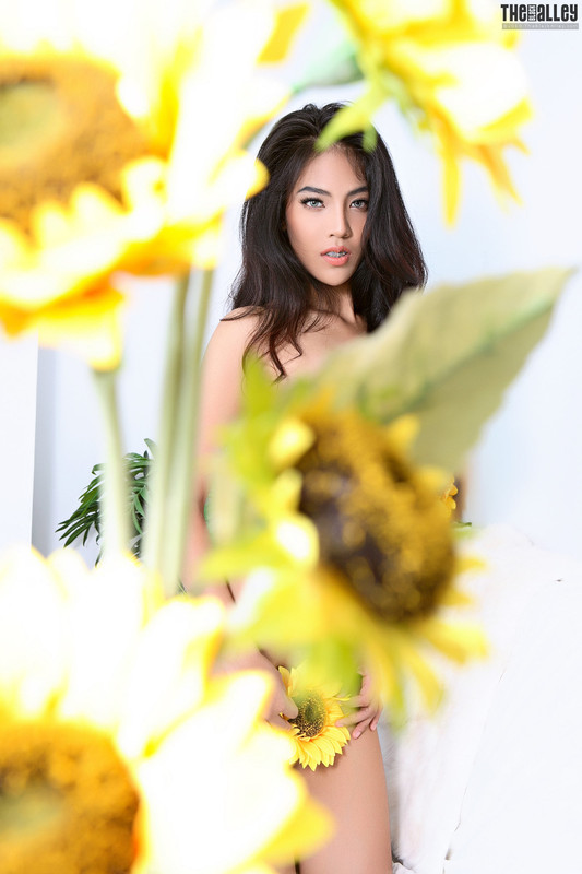 Arya 29-088