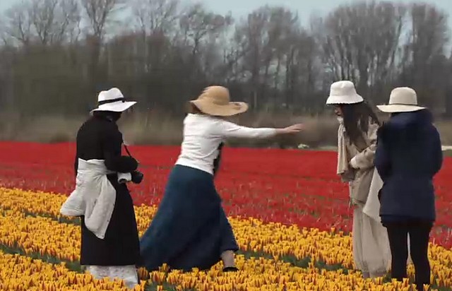 Tulpenblüte in Holland und Touristen