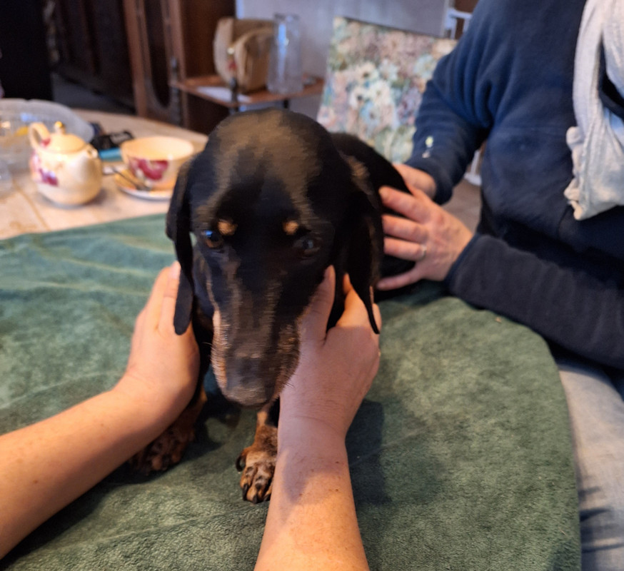 [Image: 20231128-155942.jpg]