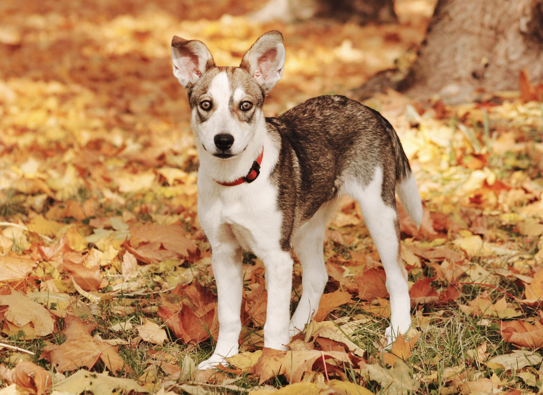 712C4543-20DA-4FFB-86E6-810F9013EF9D