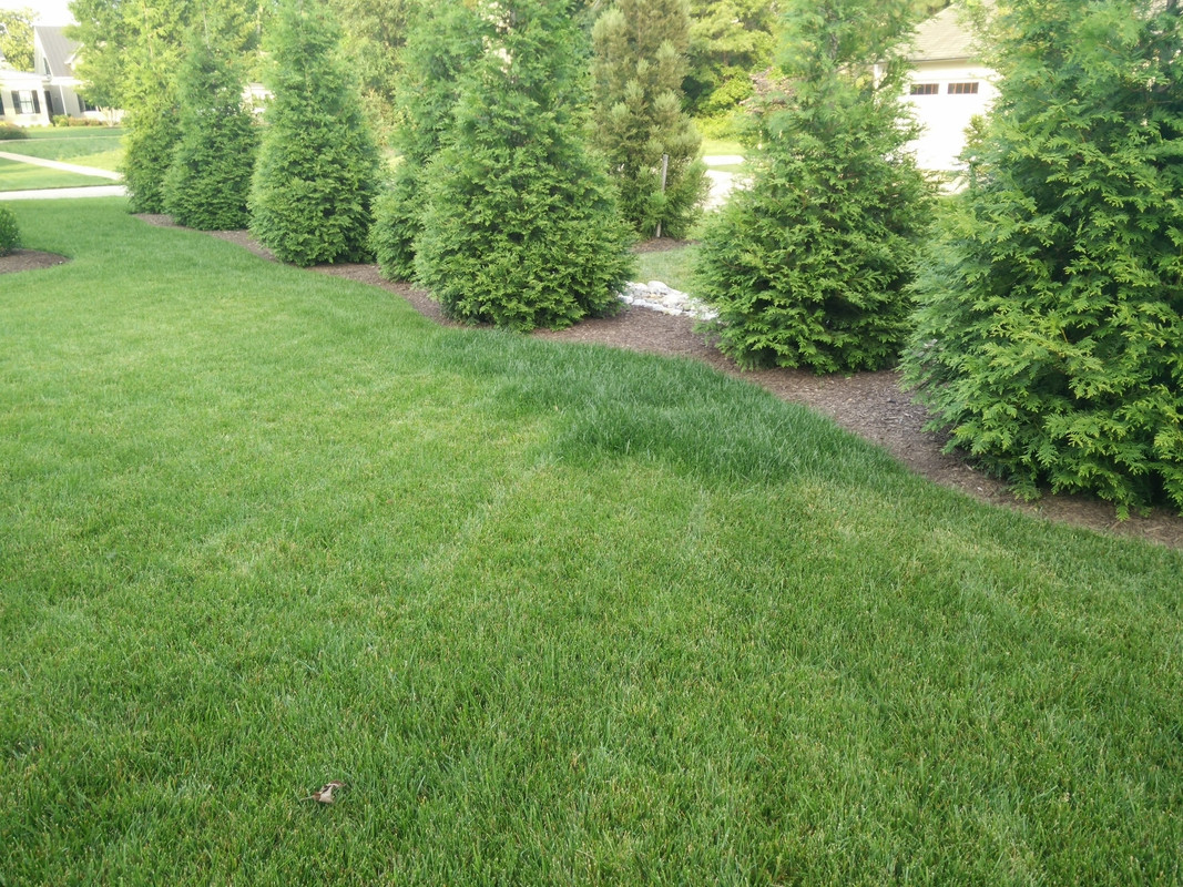 IMG_20150614_191445 (1)