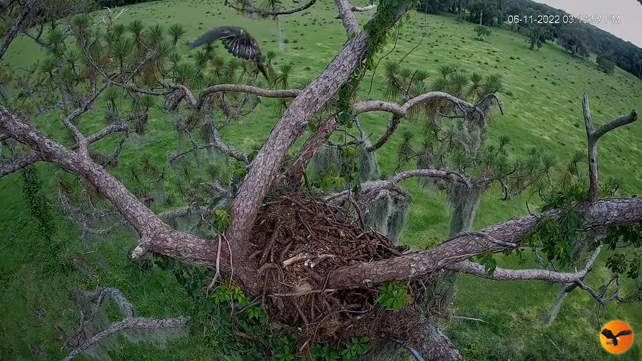 EC 4K Overhead Cam 14-3-34 screenshot