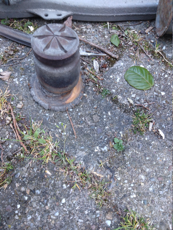 DSC 1337