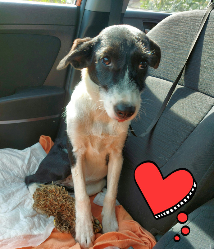 inbound4074448777017023527