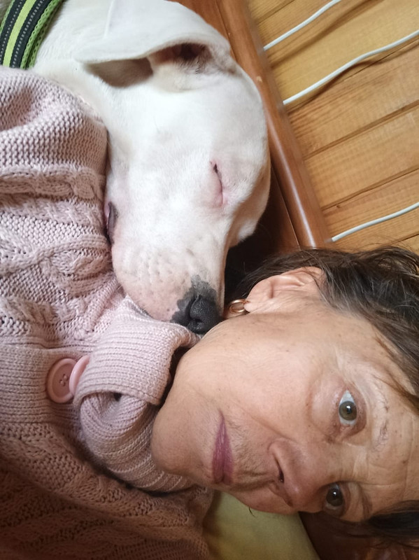 CF996D0C-87B6-480C-91AF-E11B34A6CD25