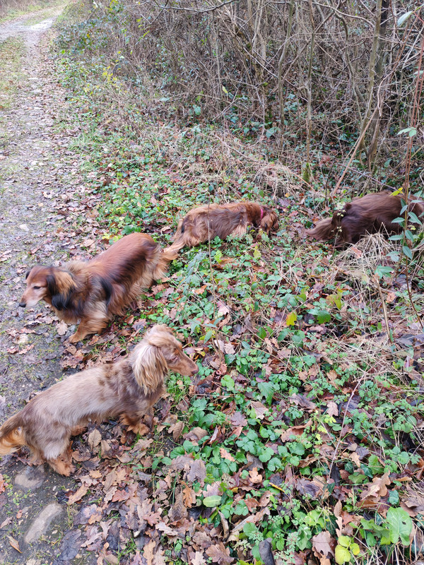 [Image: IMG-20241220-144558.jpg]