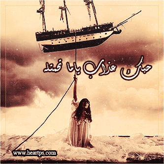 ���� ���� ������ �� ���� ������