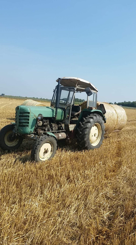 83166239_2576409002457374_4827173444019814400_n (1)