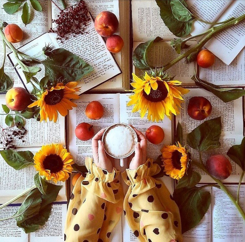 Screenshot_20231210_181941_Instagram