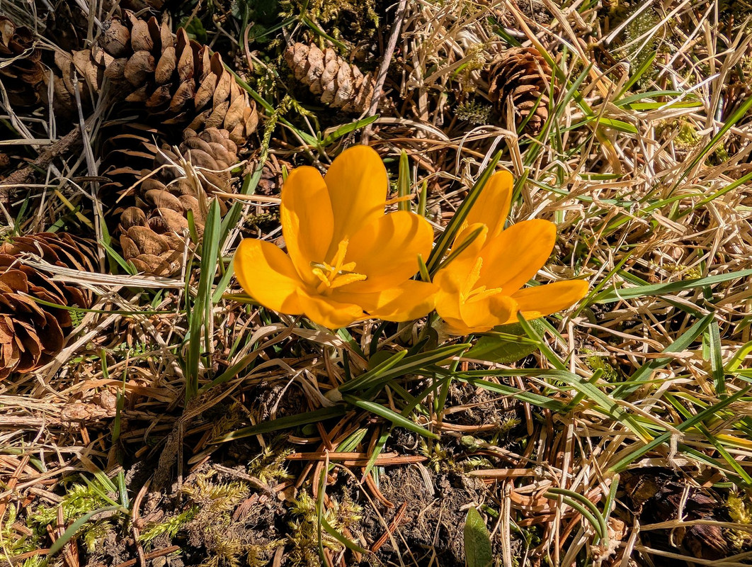 PXL_20250411_171435997.MP~2