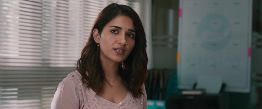 Saindhav 2024 WebRip [Hindi] 480p, 720p Screenshot