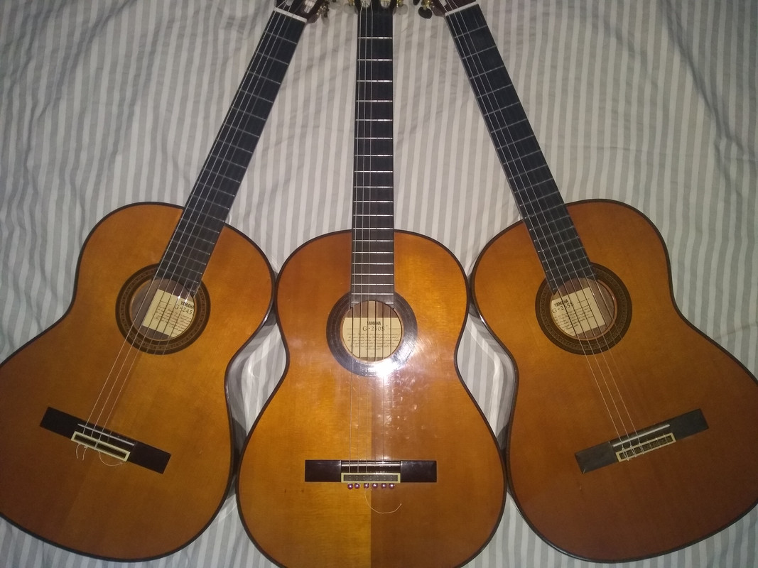 Researching Older Yamaha Guitars - Including Grand Concerts - Page 10 -  Classical Guitar