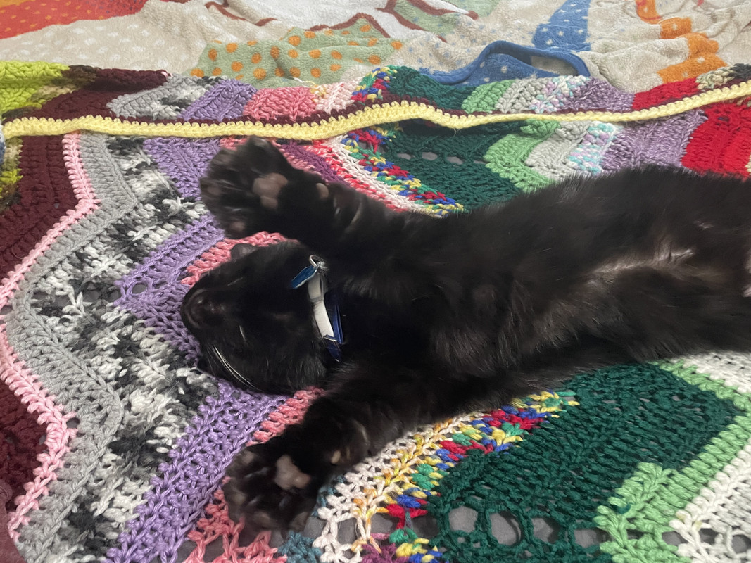 0CBB9C73-04E2-41F6-A949-D94A6178FE1E