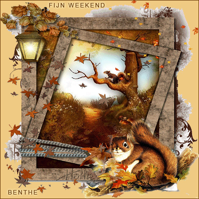 fijn-weekend-aa