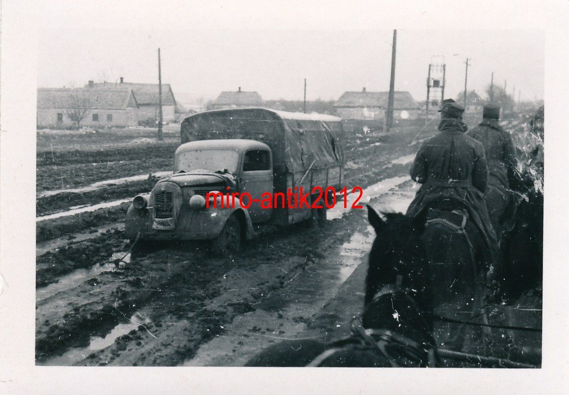 Foto, Wehrmacht, GJR 100, Gebirgsjäger, Einsatz 