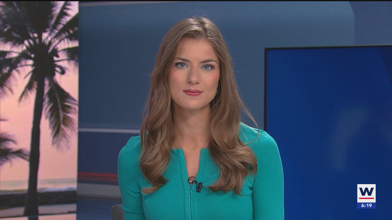 WINK News at 600am_20250227_11001130.ts_snapshot_20.09.022